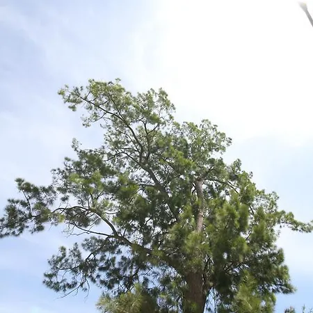 Santa Gilla 卡利亚里